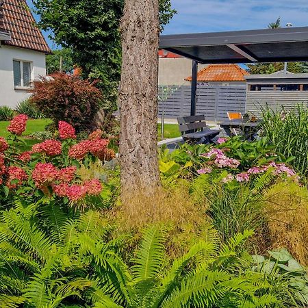 Villa Elefant Miedzyzdroje Esterno foto